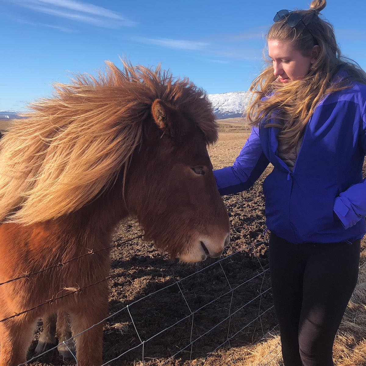 Girl and Horse Communing