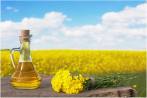 Canola Oil in Field